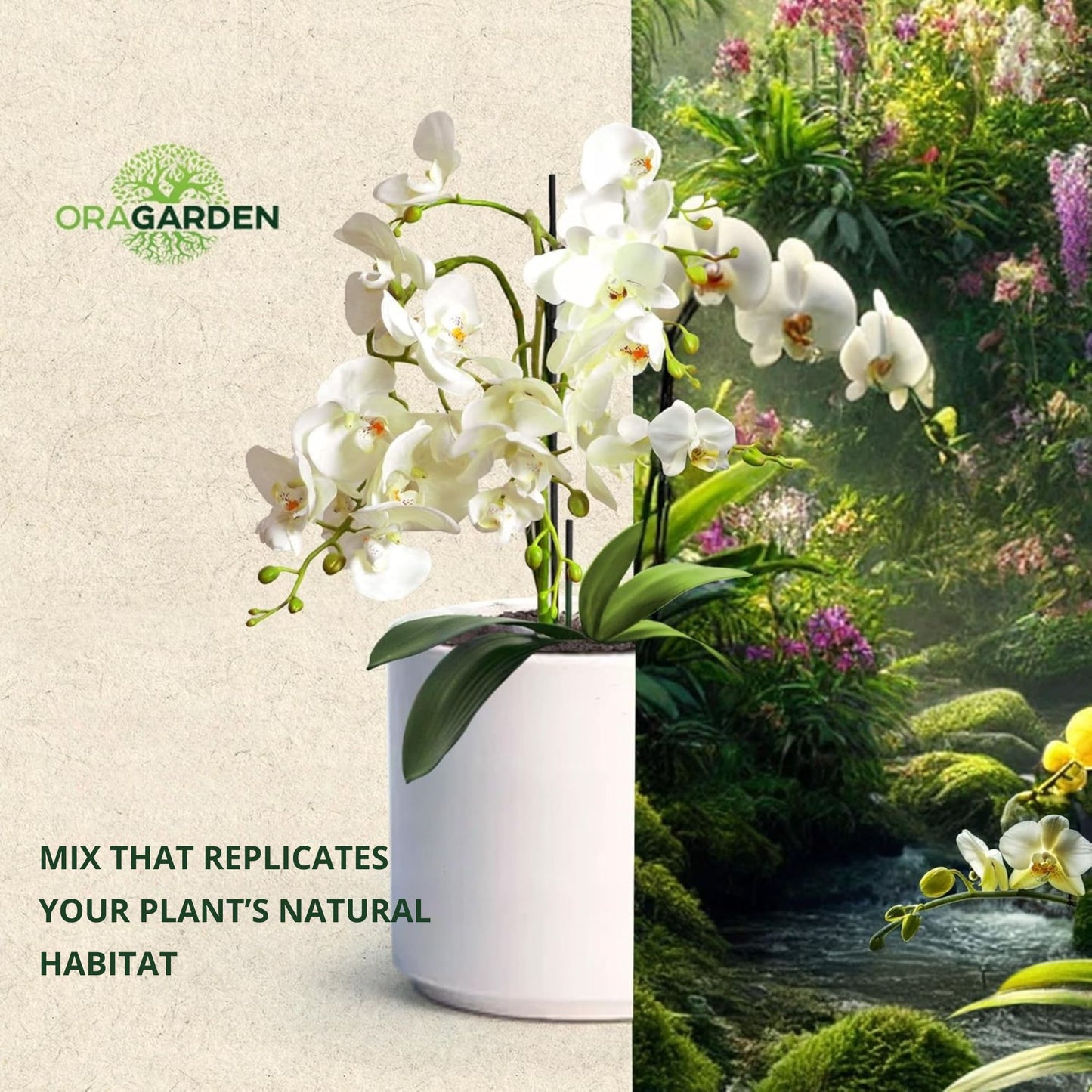 Orchid potting mix