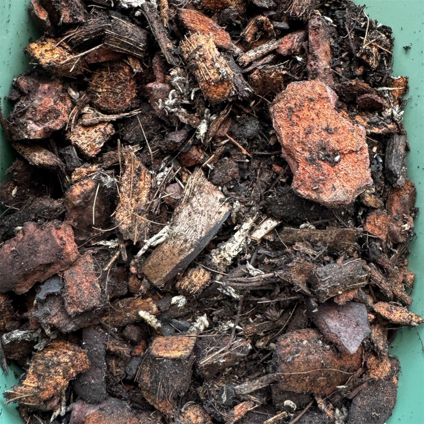 Orchid potting mix