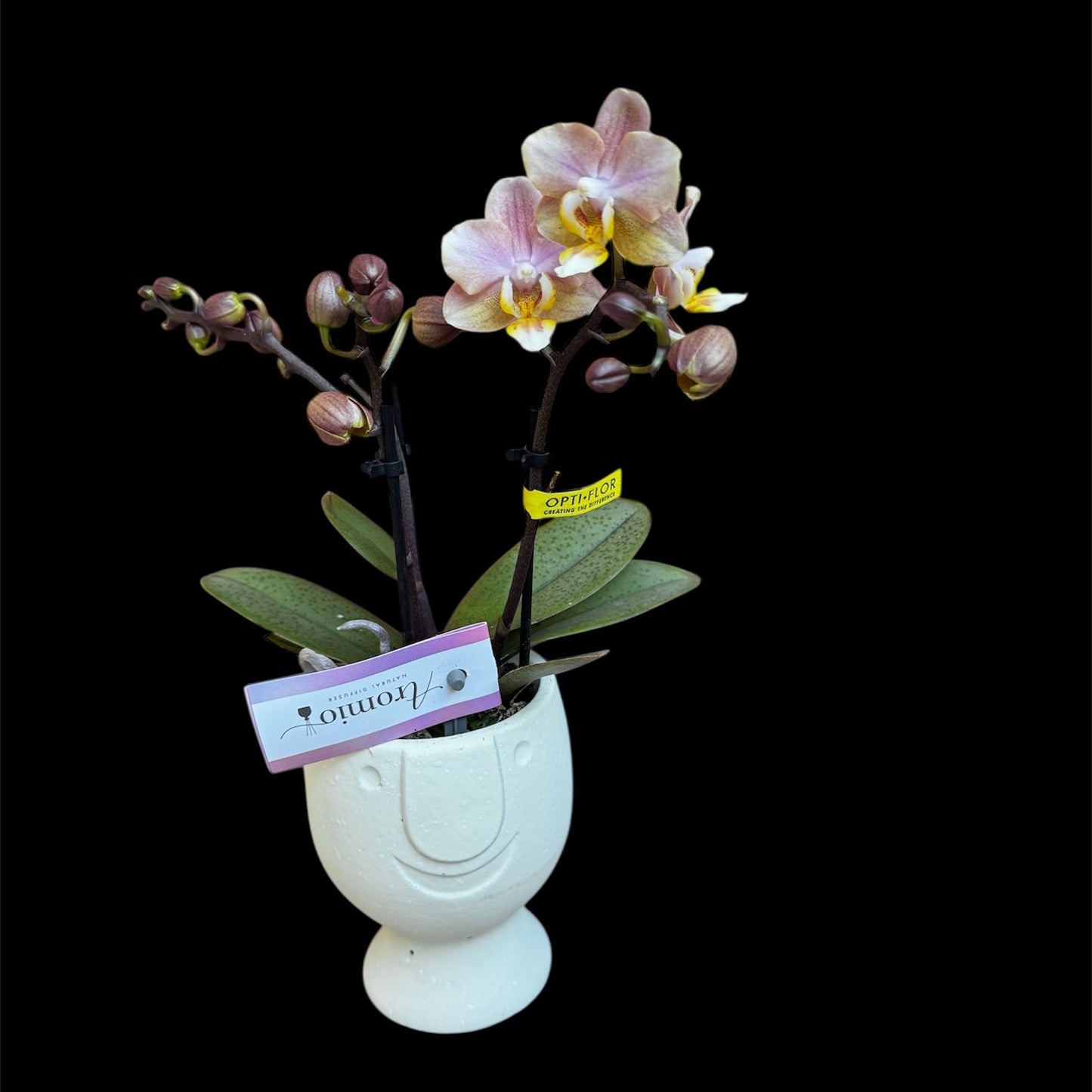 Handmade Ceramic Happy Face Pot- 7CM (suitable for TINY DOLLS orchids) PLANT not included