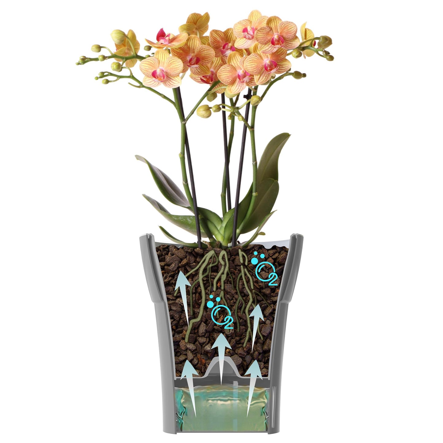 Happyplants Dali-Dea Orchid Self-Watering Flower Pot Planter With Water Level Indicator Water Reserve And Drainage Holes