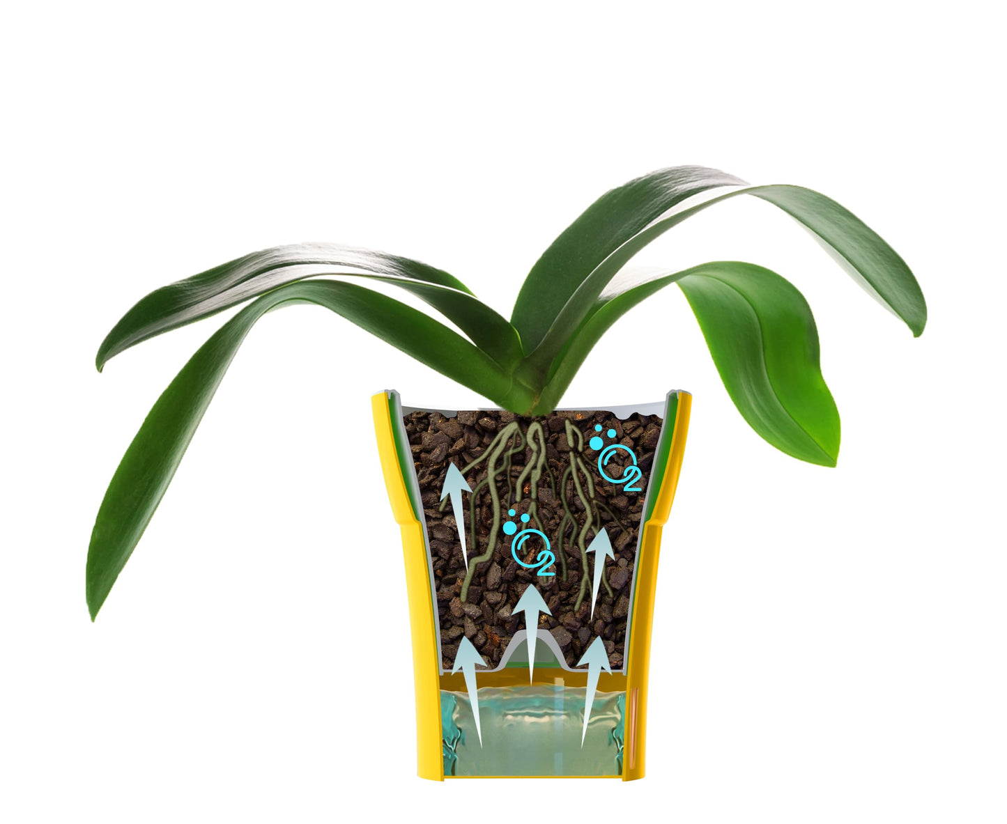 Happyplants Dali-Dea Orchid Self-Watering Flower Pot Planter With Water Level Indicator Water Reserve And Drainage Holes
