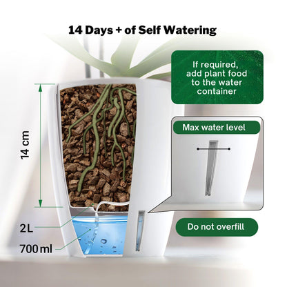 Happyplants ORCHIDEA Self-Watering Orchid Pot Flower Planter With Water Level Indicator Water Reserve And Drainage Holes