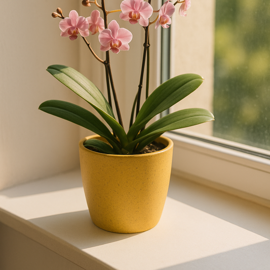self watering plant pot miniature white/blue