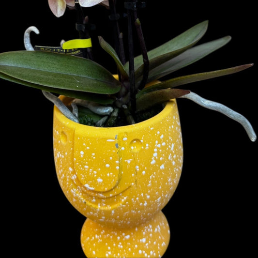 Handmade Ceramic Happy Face Pot- 7CM (suitable for TINY DOLLS orchids) PLANT not included