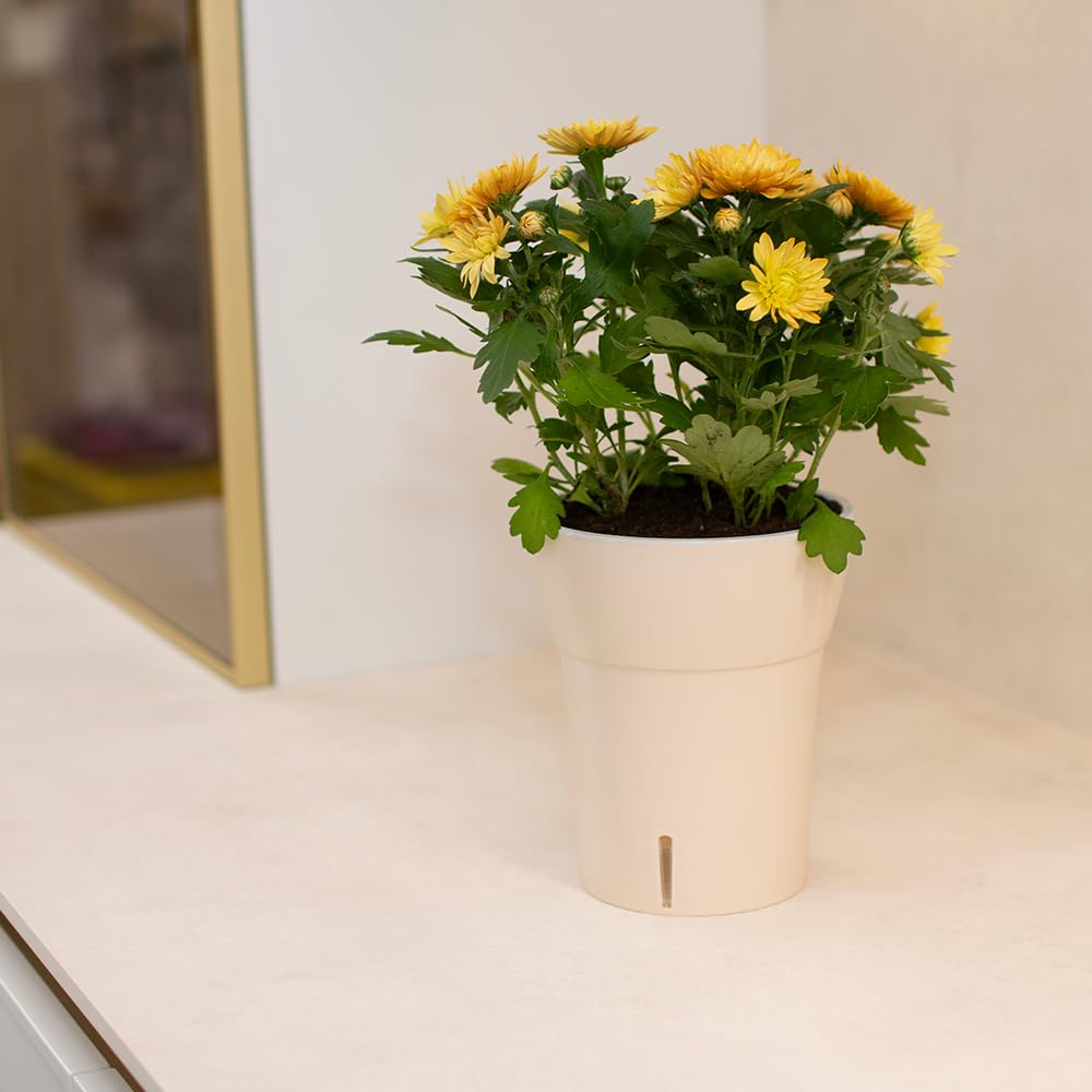 Happyplants Dali-Dea Orchid Self-Watering Flower Pot Planter With Water Level Indicator Water Reserve And Drainage Holes