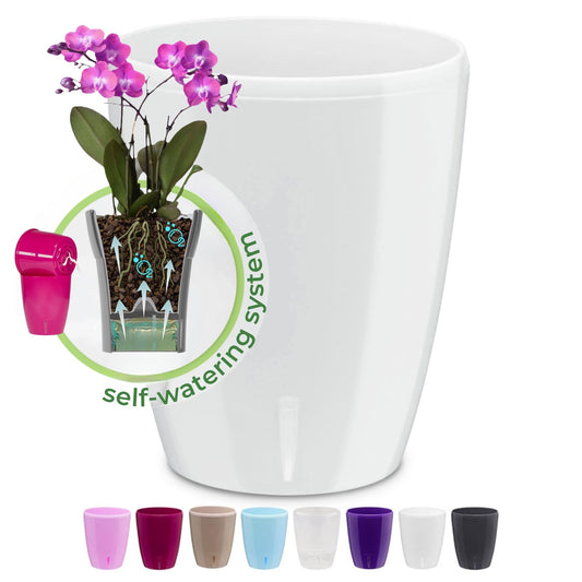 Happyplants ORCHIDEA Self-Watering Orchid Pot Flower Planter With Water Level Indicator Water Reserve And Drainage Holes